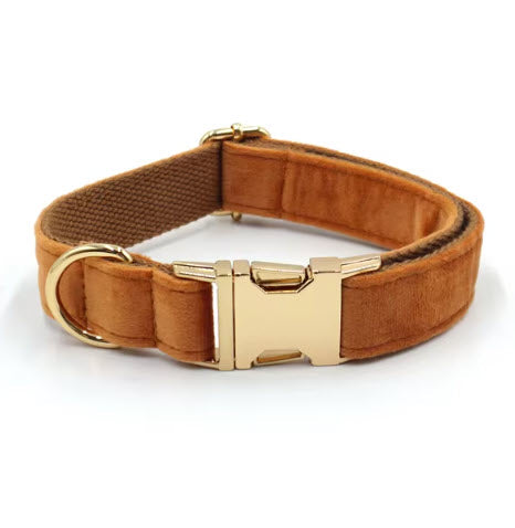 Basic Collar Paula