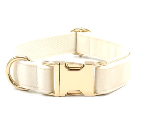 Basic Collar Paula