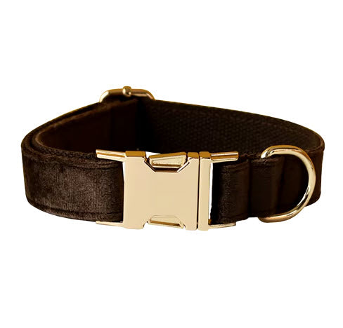 Basic Collar Paula